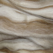 Spinn själv!  topsband av 100% ull, Blue Faced Leicester,  blandade naturfärger